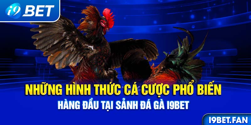 Những hình thức cá cược phổ biến hàng đầu tại sảnh đá gà I9BET